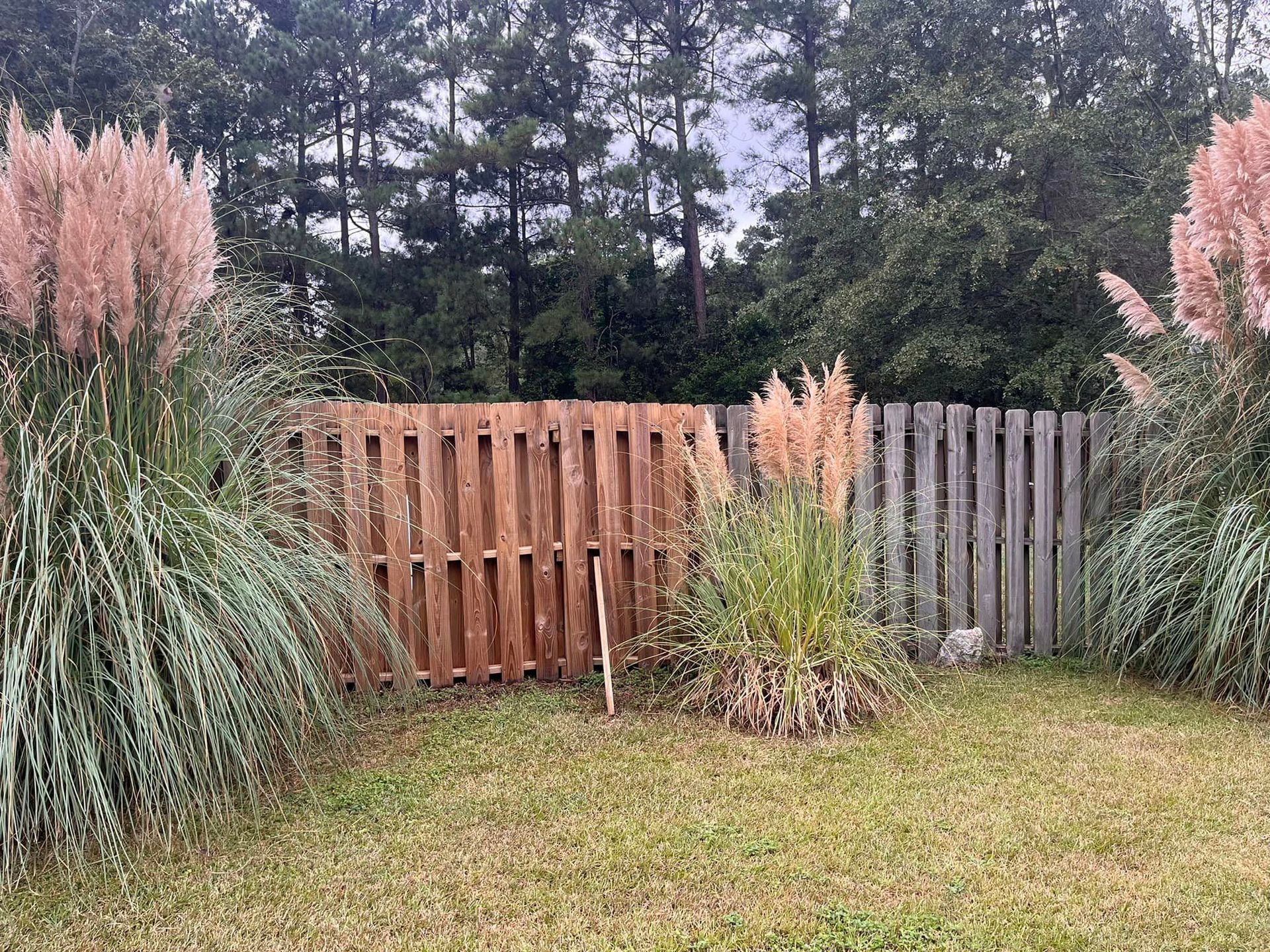 A wooden fence surrounded by tall grass and trees in a yard.