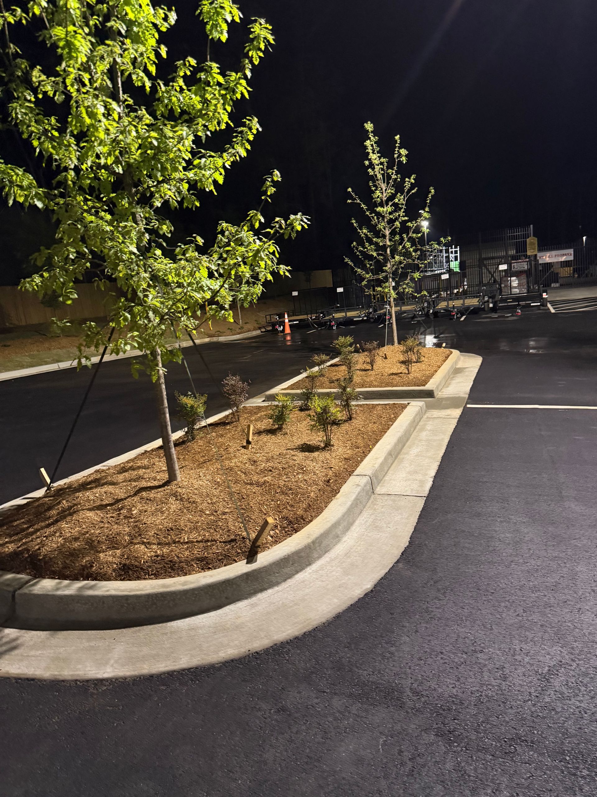 Nighttime parking lot with landscaped islands, young trees, and curbs under bright lights