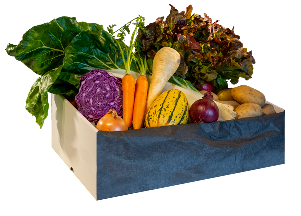 La Boîte Ó Fruits: boite La Petite Veg’ Ó. Paniers de fruits BIO dans votre établissement