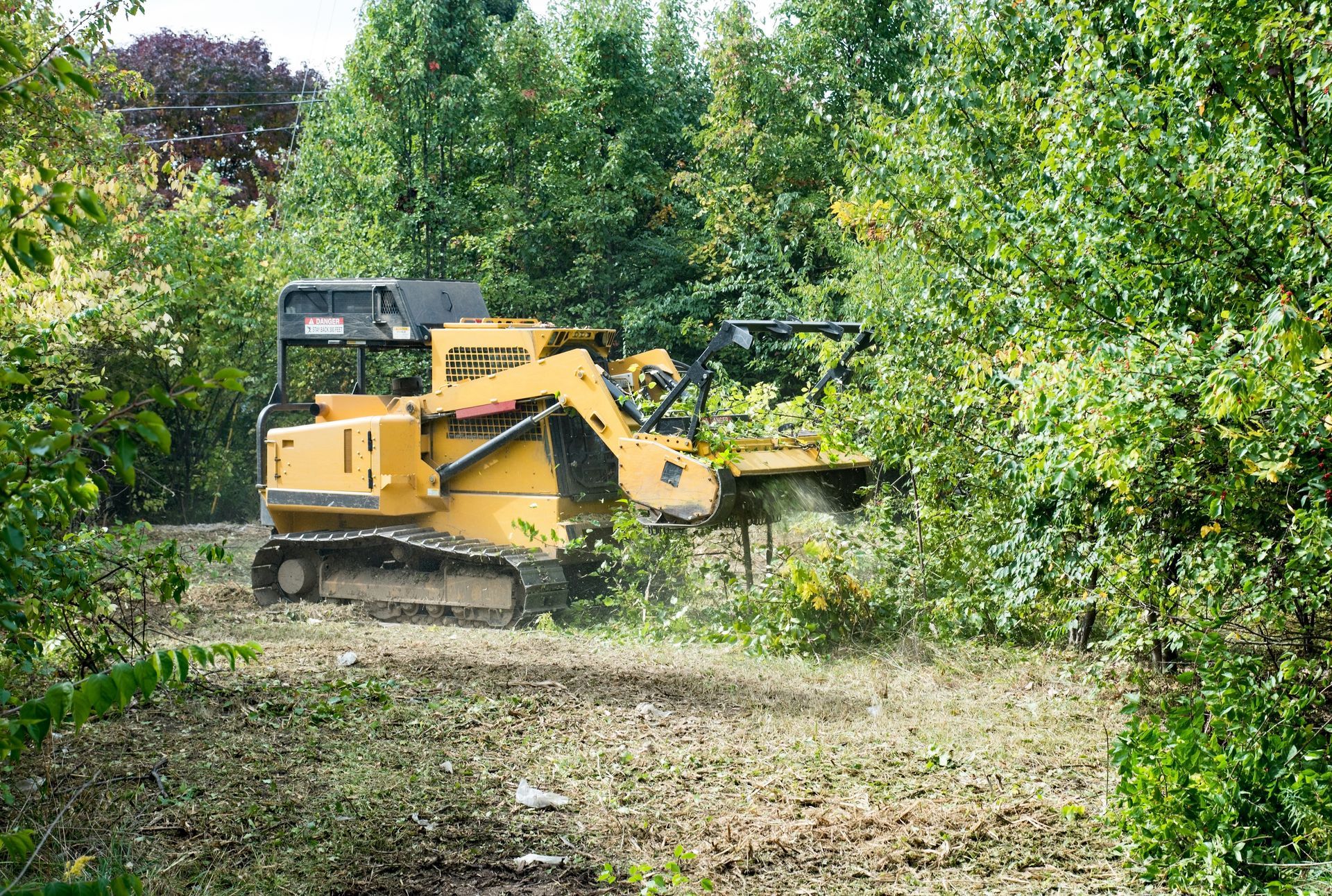 Yellow brush cutter clearing dense vegetation in a wooded area.