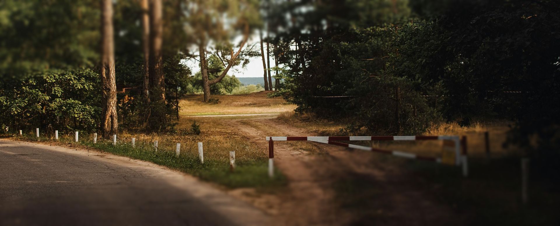 Road with a barrier leading to a dirt path and trees in a forest.