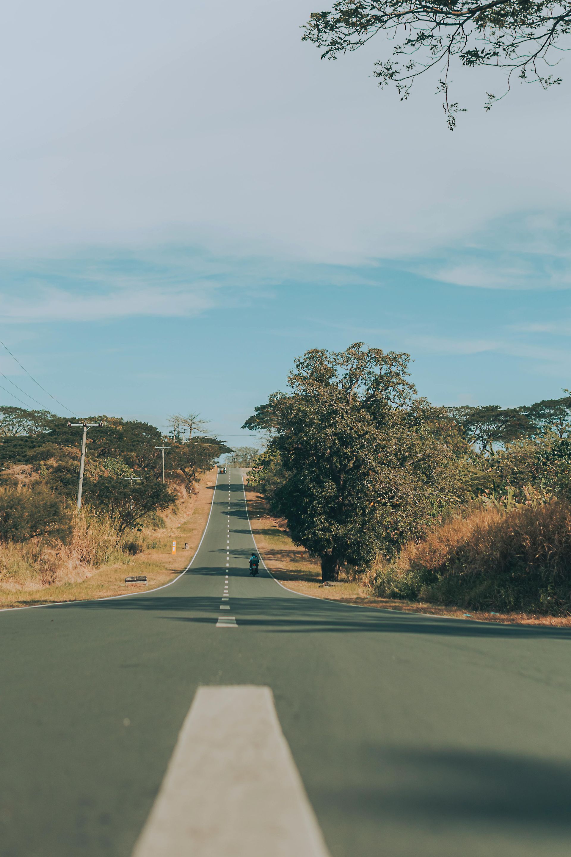 An empty asphalt road stretches uphill, bordered by trees and shrubs, under a blue sky.