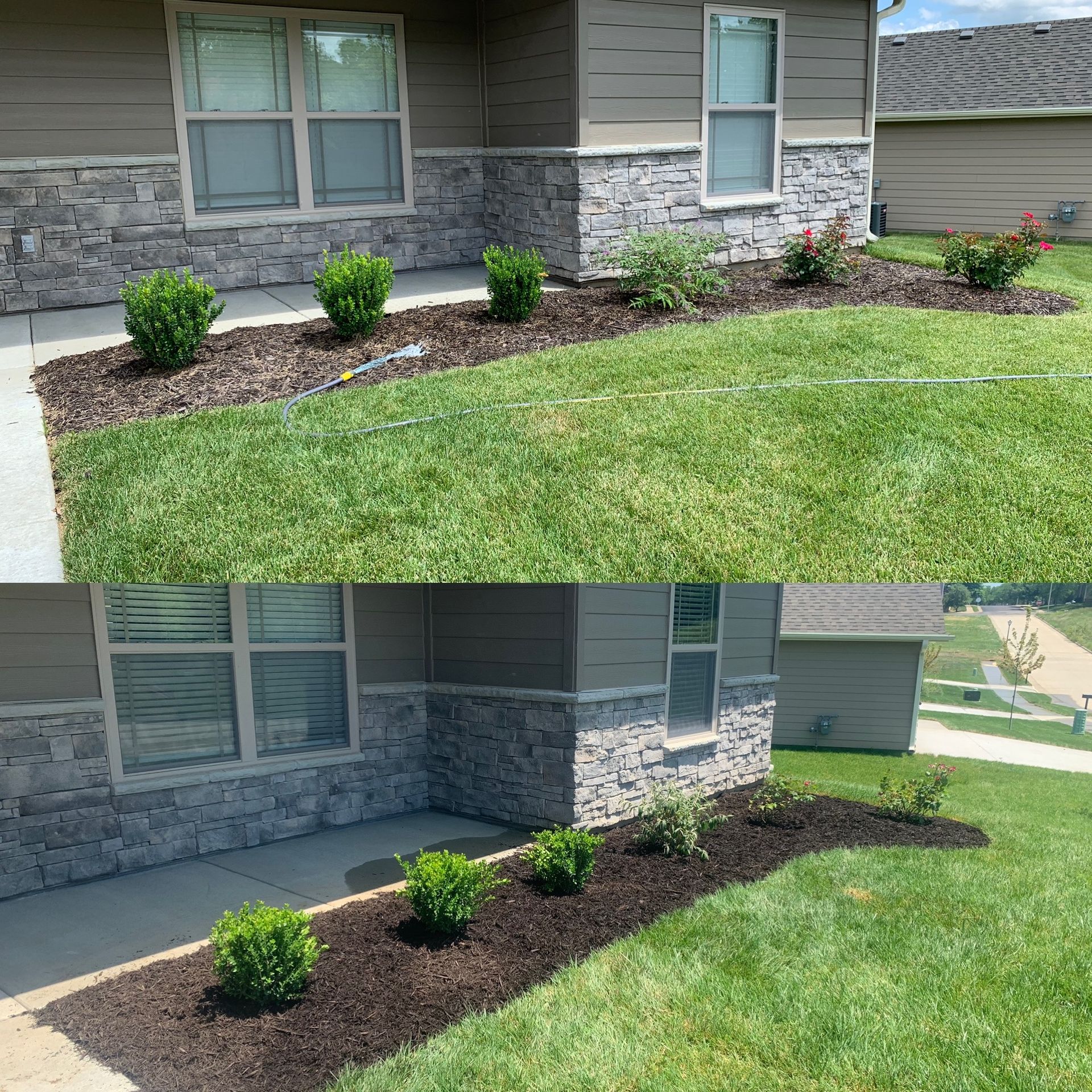 Transform Your Lawn with Quality Cut Lawn Care in Columbia, MO