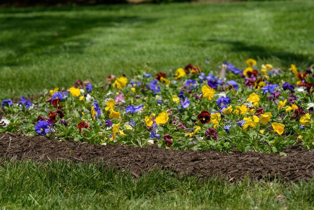 Create Lasting Impressions with Quality Cut's Landscaping Expertise.