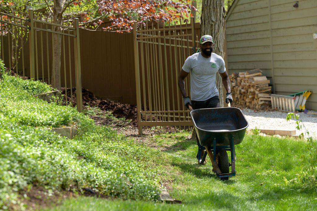 Reliable and Affordable Lawn Care Services in Columbia, MO - Quality Cut Lawn Care