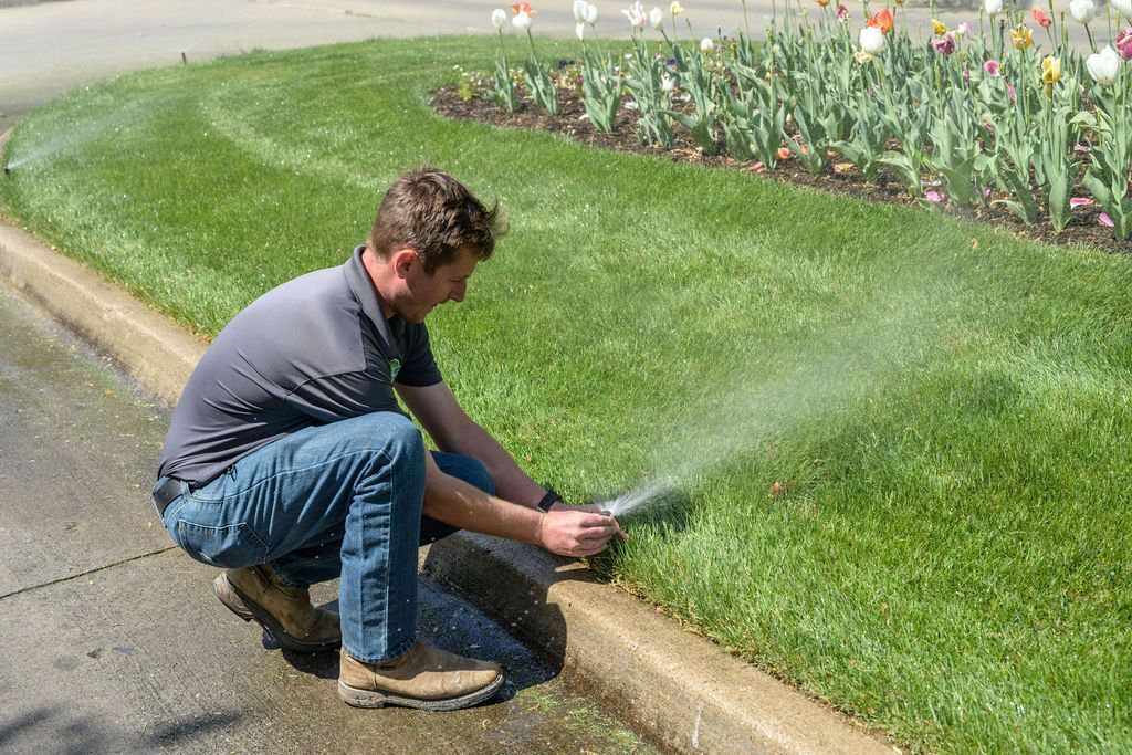 Trustworthy Lawn Care Solutions - Quality Cut Lawn Care, Columbia, MO