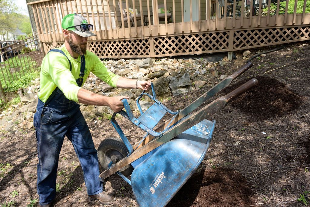 Effective Weed Control Services | Quality Cut Lawn Care Columbia, MO