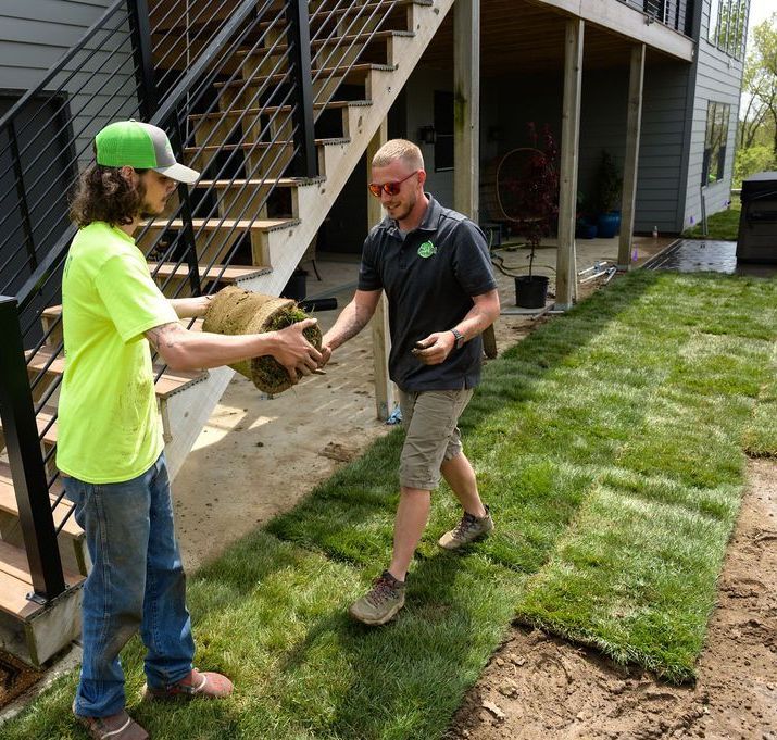 Quality Cut Lawn Care Professionally Installs Fresh Sod in the Columbia, MO Area.
