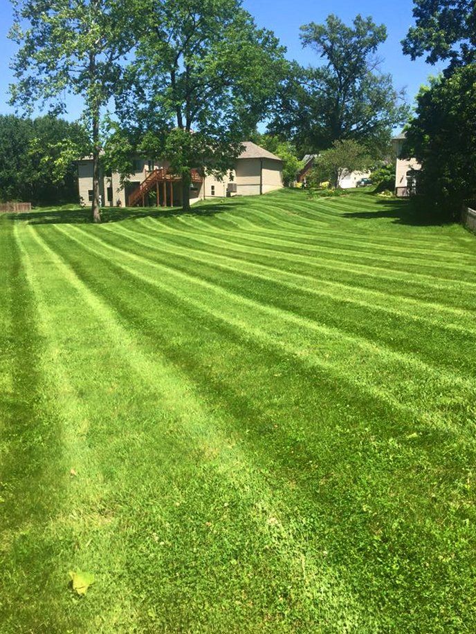 Enhance the beauty and value of your property with custom landscaping design from Quality Cut Lawn Care in Columbia, MO.