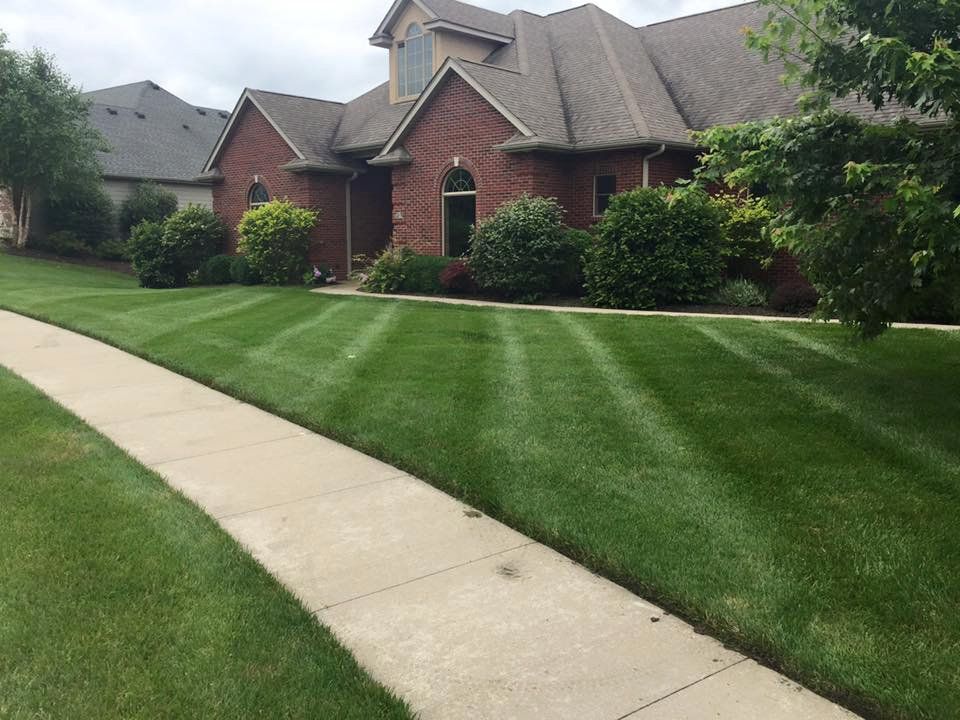 Keep your trees and shrubs healthy and thriving with professional care from Quality Cut Lawn Care in Columbia, MO.
