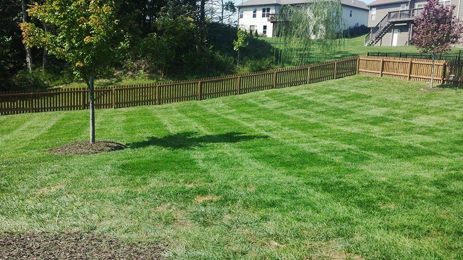Professional Landscaping Services | Quality Cut Lawn Care Columbia, MO