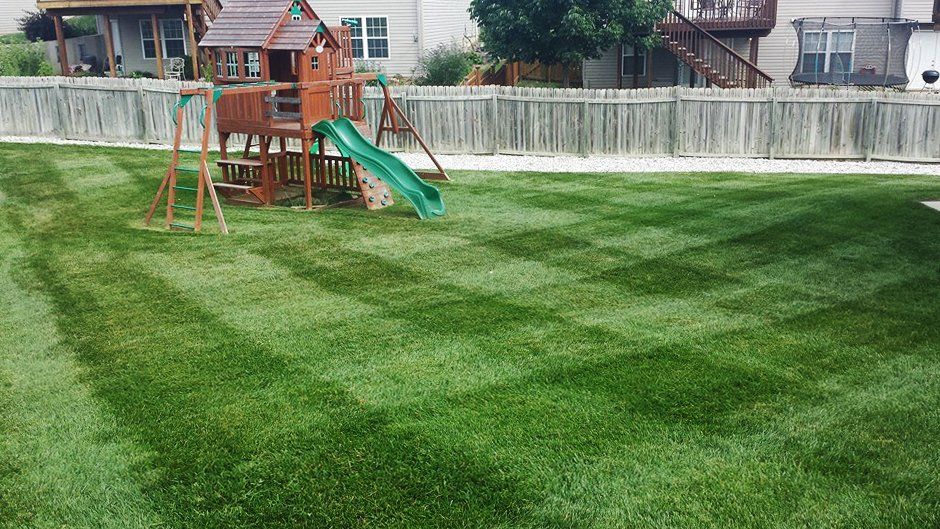 Transform Your Lawn with Quality Cut Lawn Care in Columbia, MO