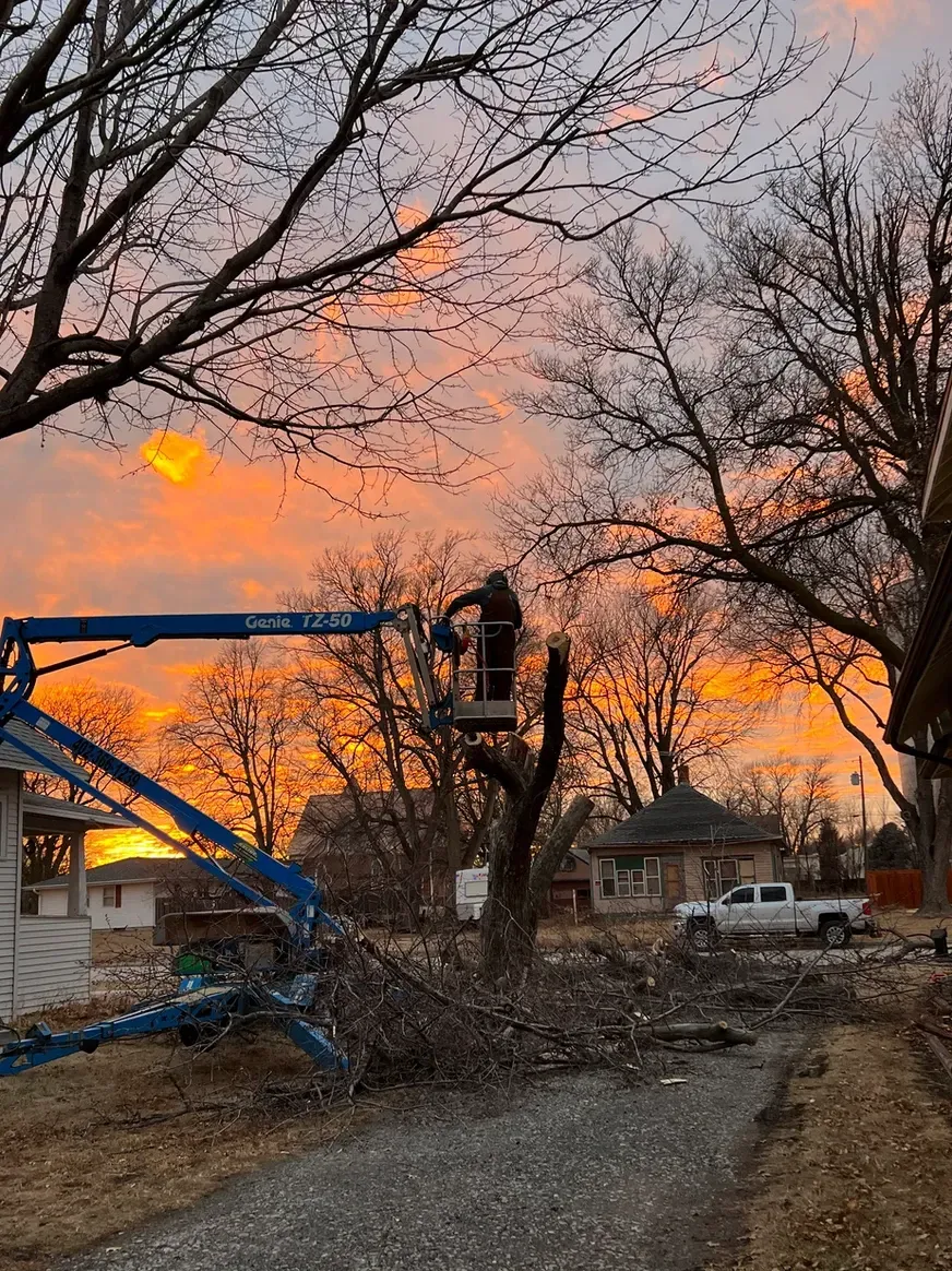 A Man Is Cutting a Tree with A Crane at Sunset — Exeter, NE — Axline Landscaping & Trees