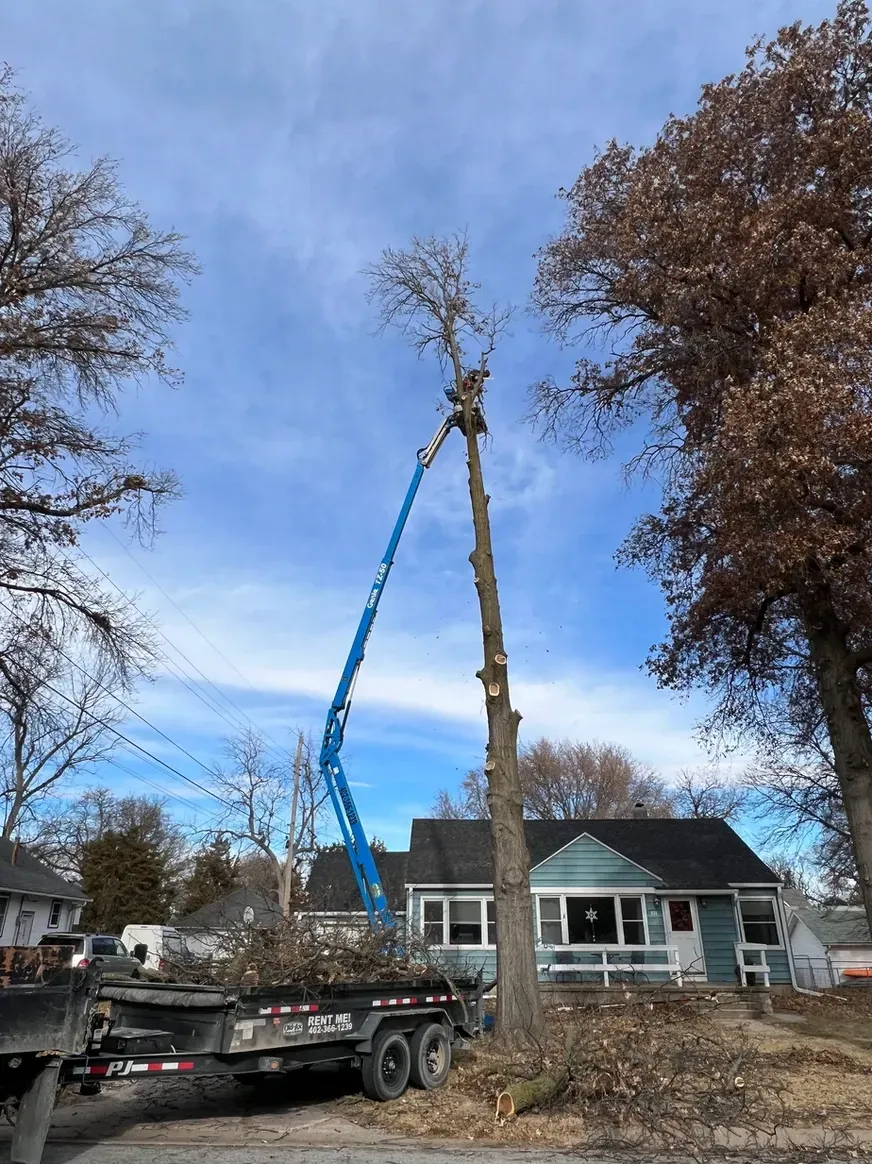 A Crane Is Cutting a Tree in Front of A House — Exeter, NE — Axline Landscaping & Trees