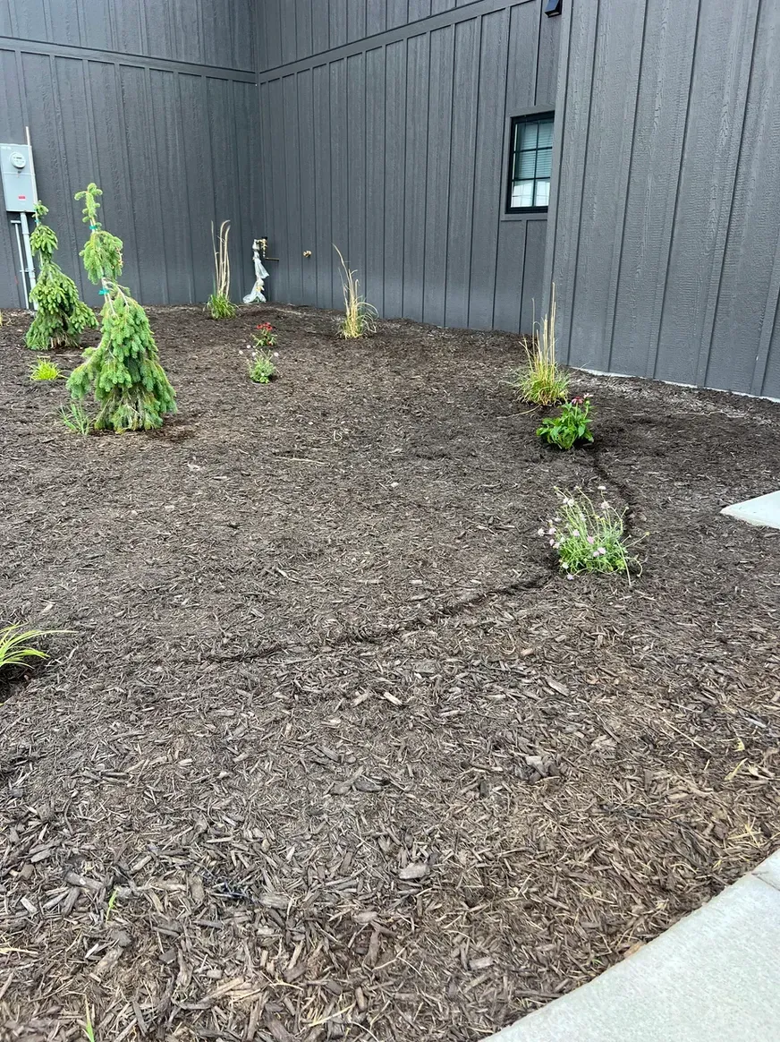 A Yard with A Lot of Mulch and Plants — Exeter, NE — Axline Landscaping & Trees