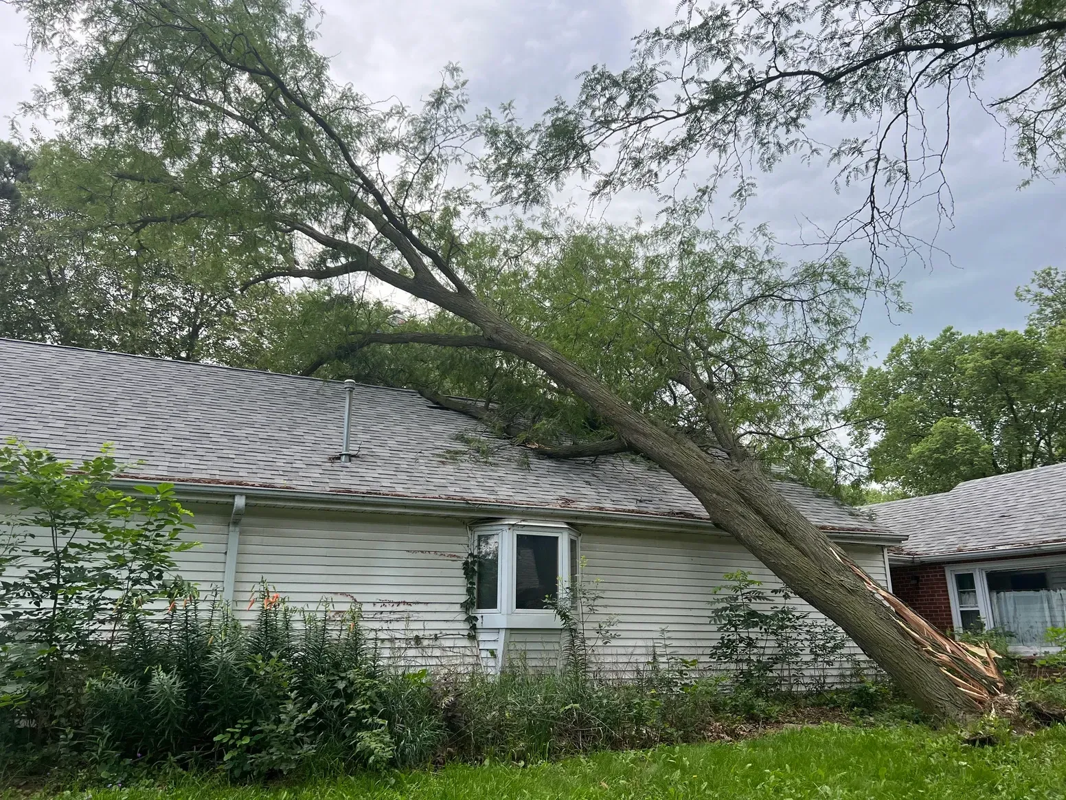 A tree has fallen on top of a House — Exeter, NE — Axline Landscaping & Trees