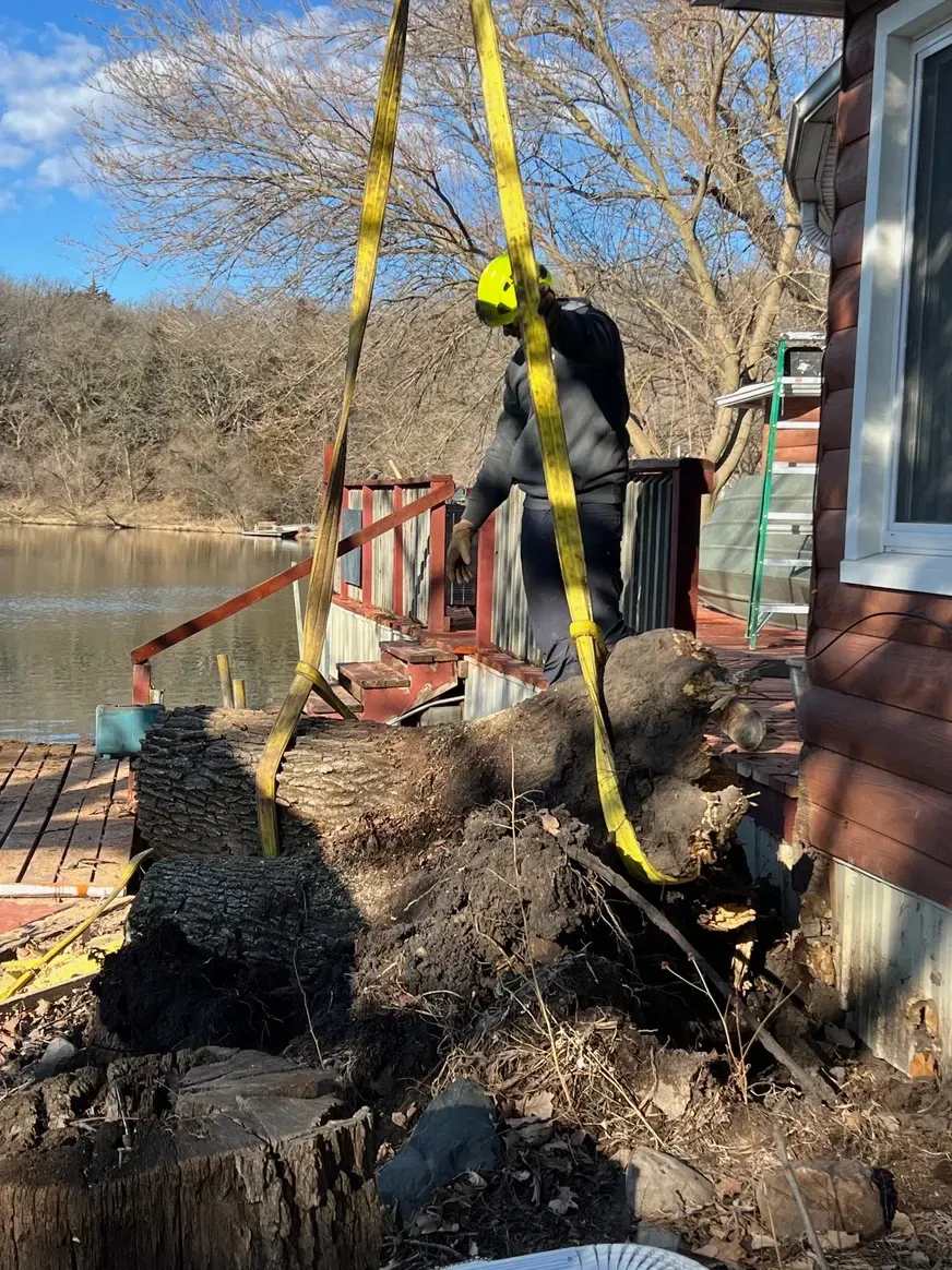 Tree Stump in Front of A House — Exeter, NE — Axline Landscaping & Trees