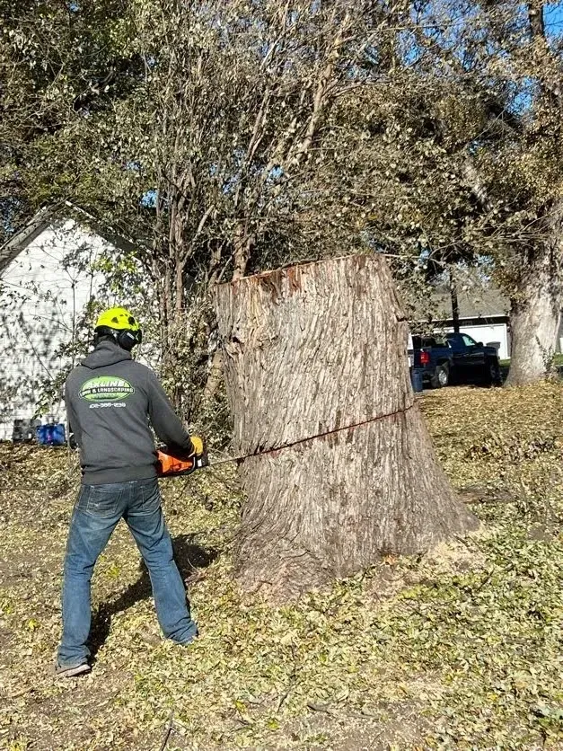 A Man Is Cutting a Tree Stump with A Chainsaw — Exeter, NE — Axline Landscaping & Trees