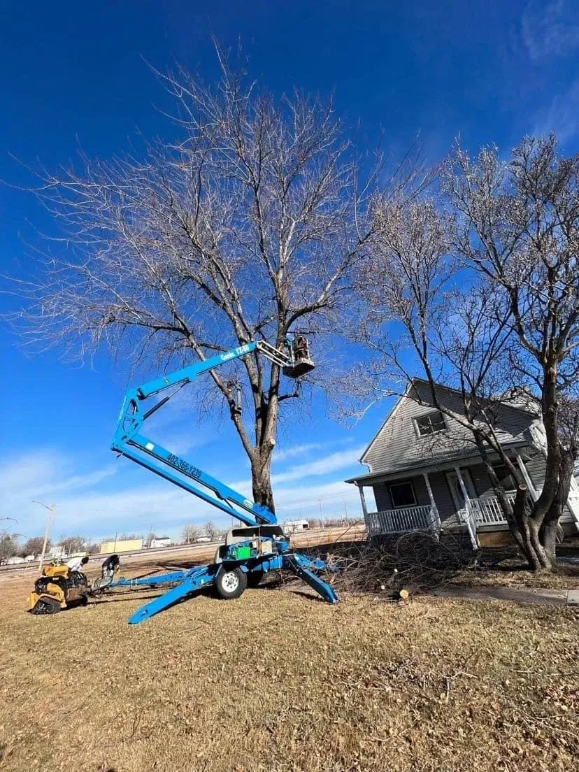 A Crane Is Cutting a Tree in Front of A House — Exeter, NE — Axline Landscaping & Trees