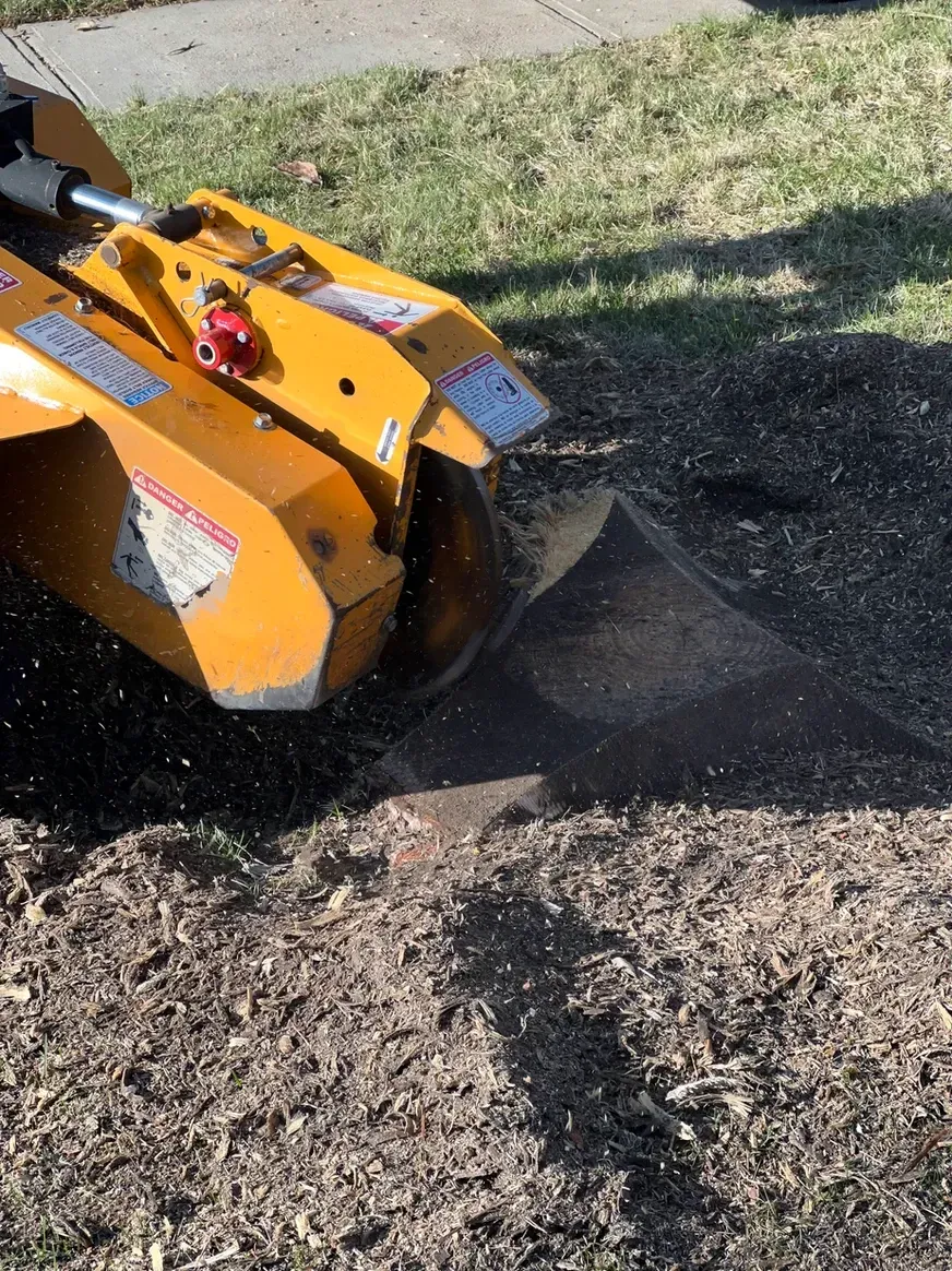 A Yellow Stump Grinder Is Cutting a Tree Stump in The Grass — Exeter, NE — Axline Landscaping & Trees