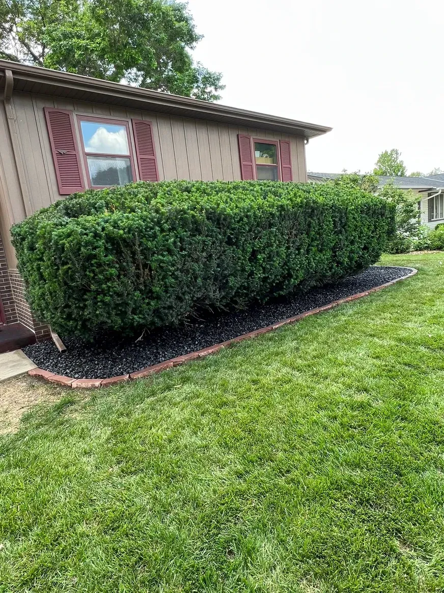 A Mobile Home with A Lush Green Lawn — Exeter, NE — Axline Landscaping & Trees