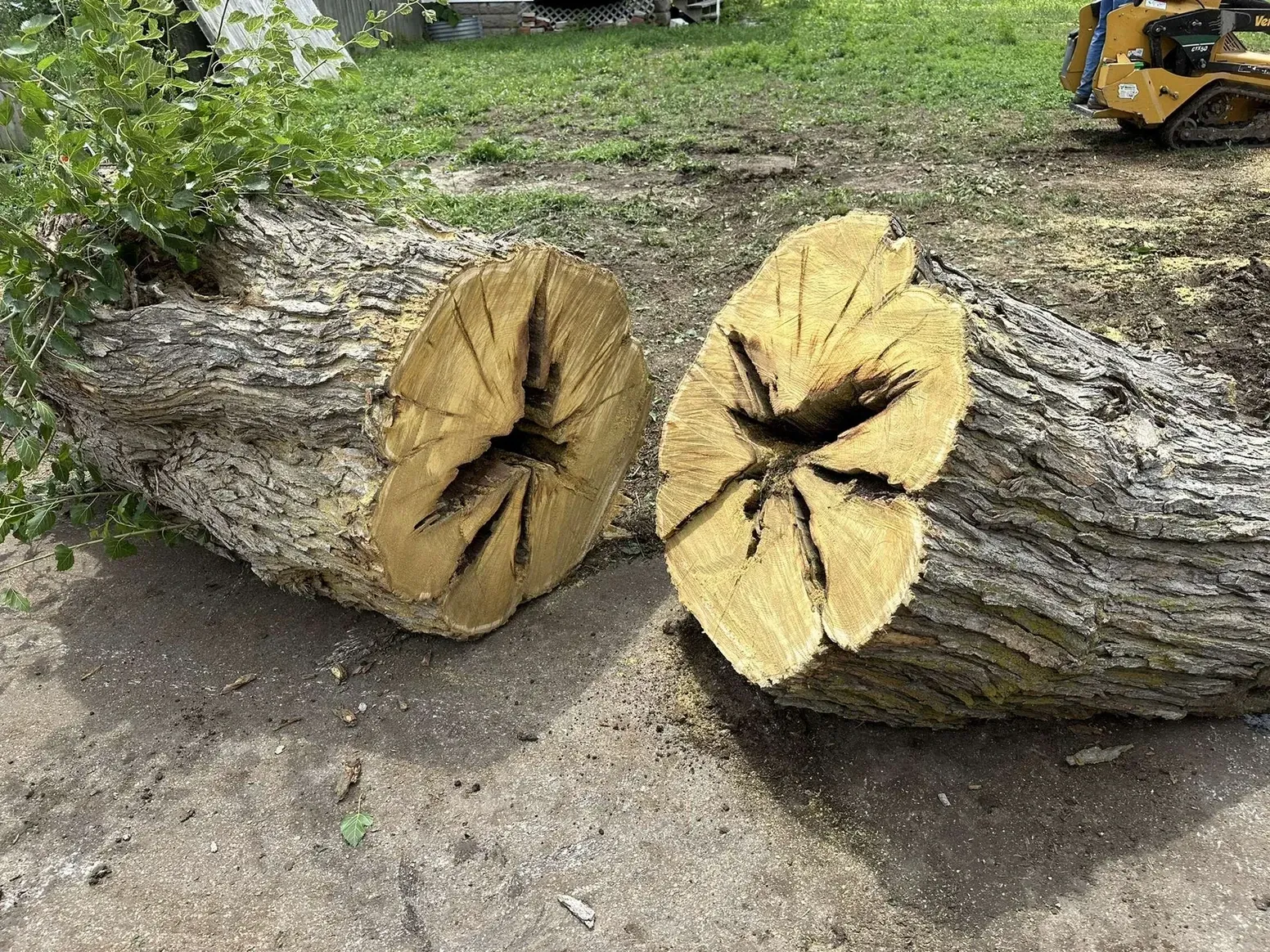 Two Large Logs Are Laying on The Ground Next to Each Other — Exeter, NE — Axline Landscaping & Trees