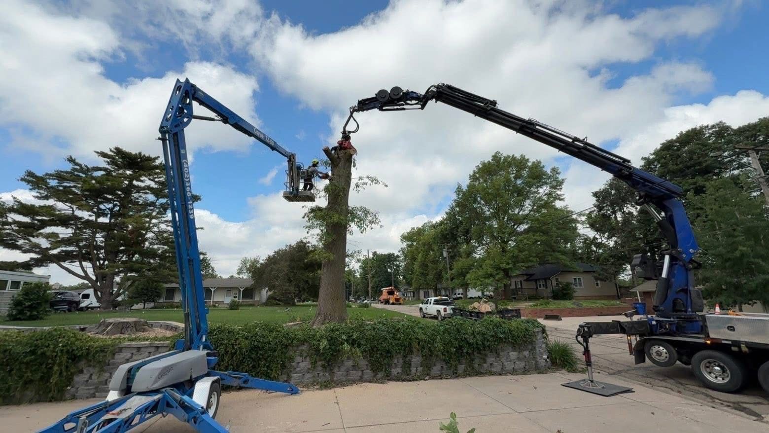 Two large blue boom lifts trimming a tree in a residential area on a sunny day.