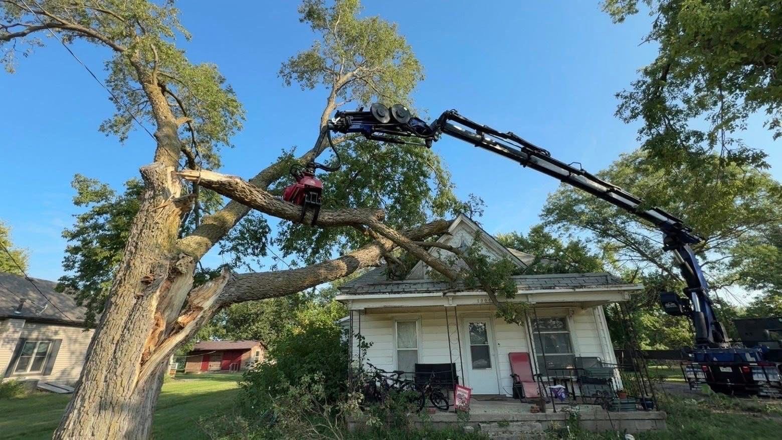A large crane trims a tree near a small, dilapidated house.