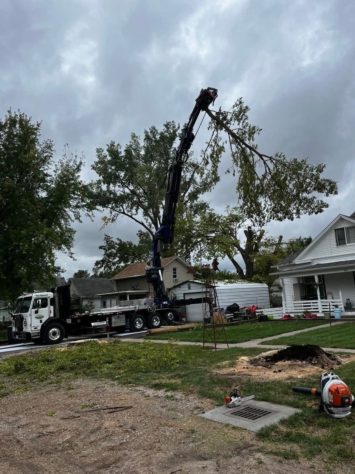 Tree removal: crane truck trimming large tree in residential yard on a cloudy day.