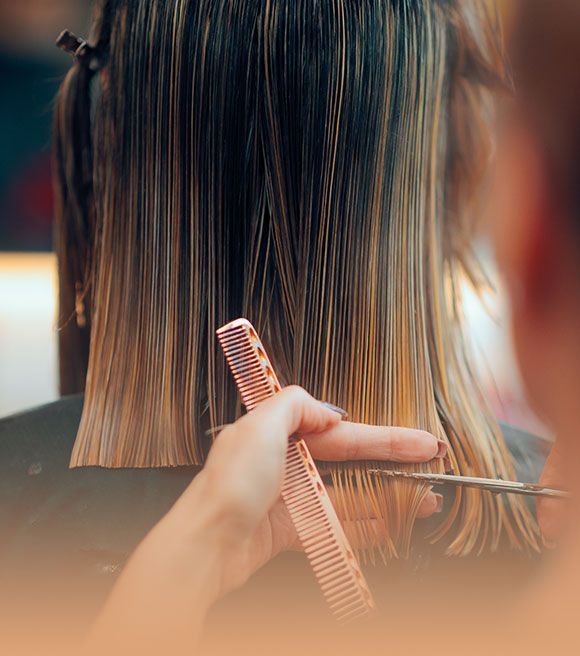 Arquitectura del corte