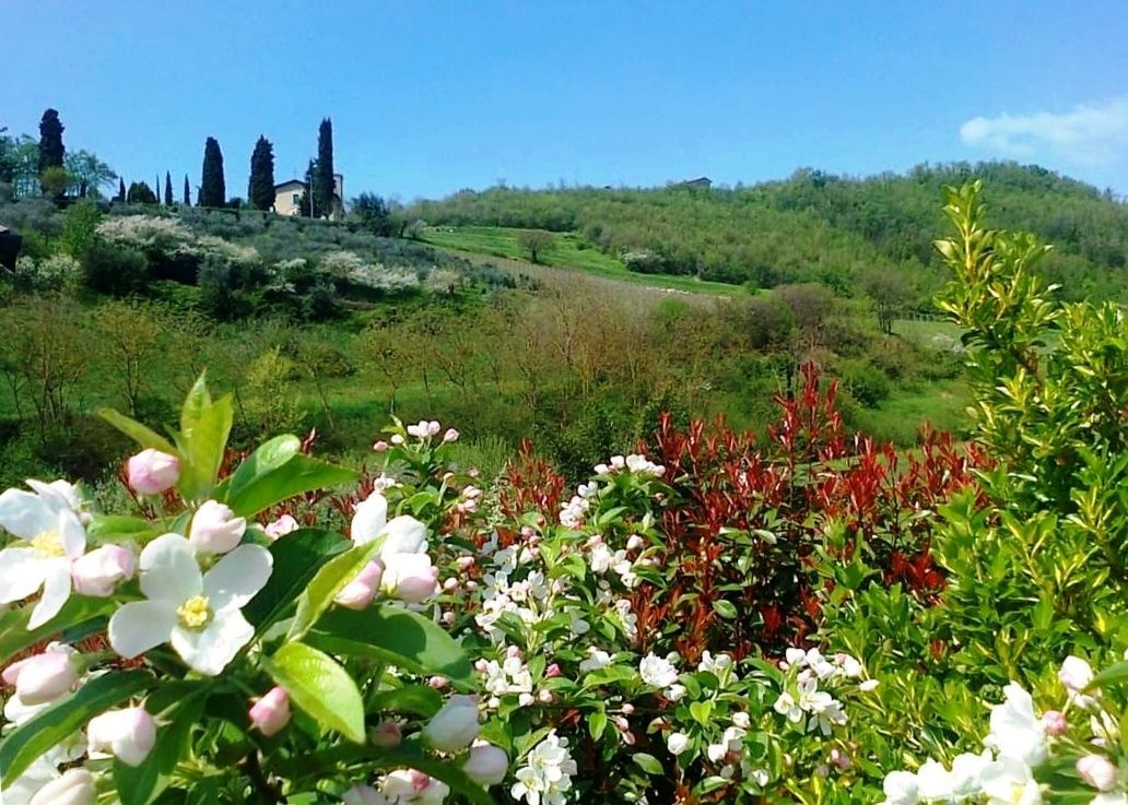 Il colle di Cerezzata