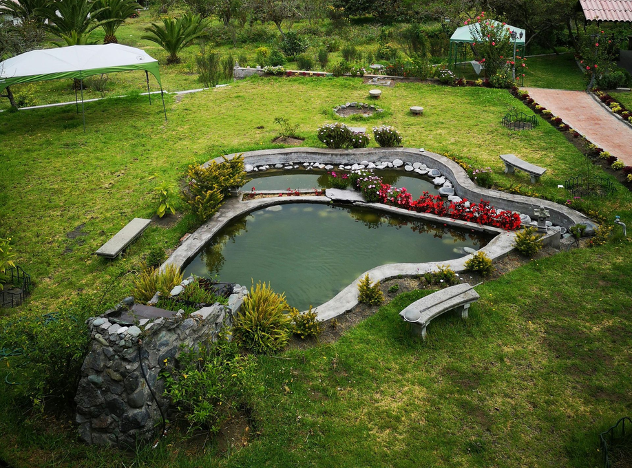Pond with stone borders and benches, surrounded by green grass and flowers.