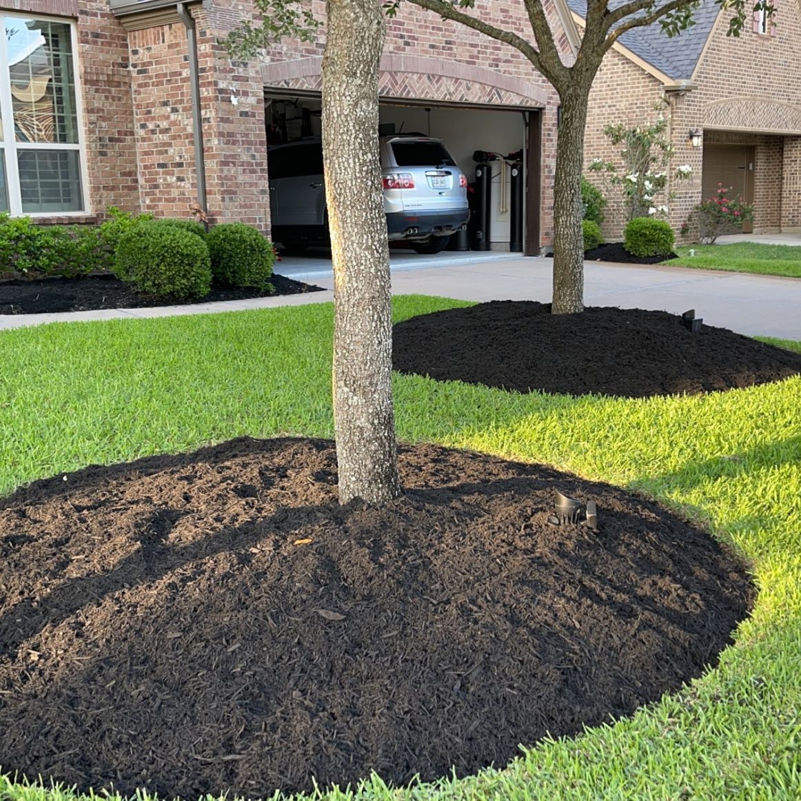A car is parked in the garage of a house next to a tree.
