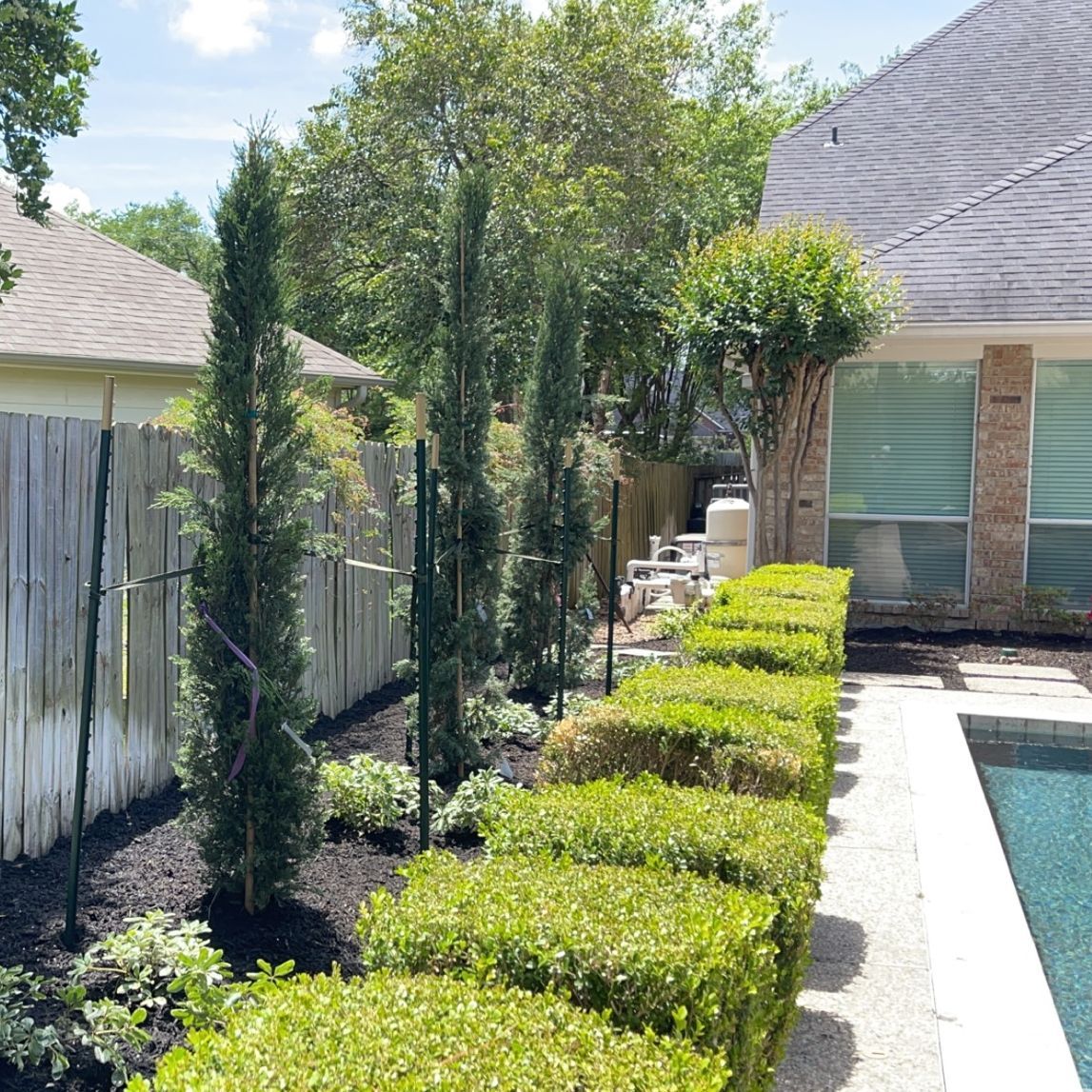 A house with a swimming pool in the backyard