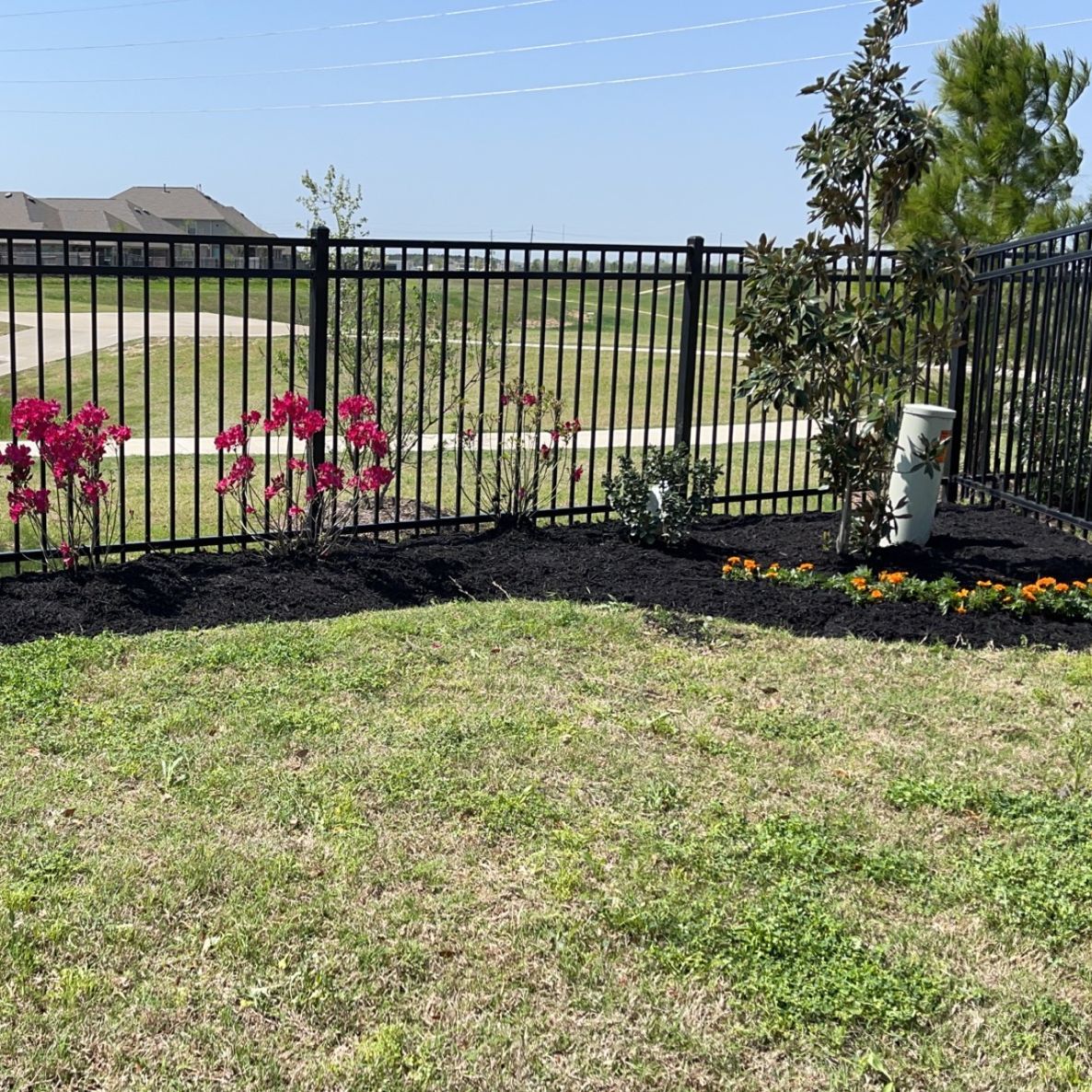 A black metal fence surrounds a lush green yard with flowers and mulch.