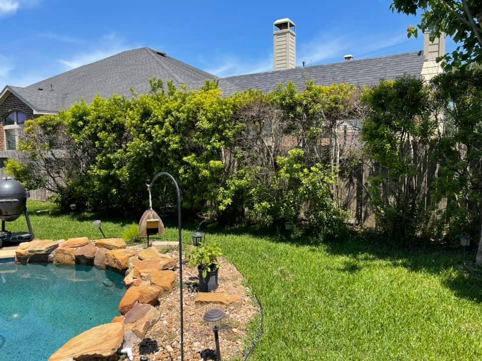 There is a swimming pool in the backyard of a house.