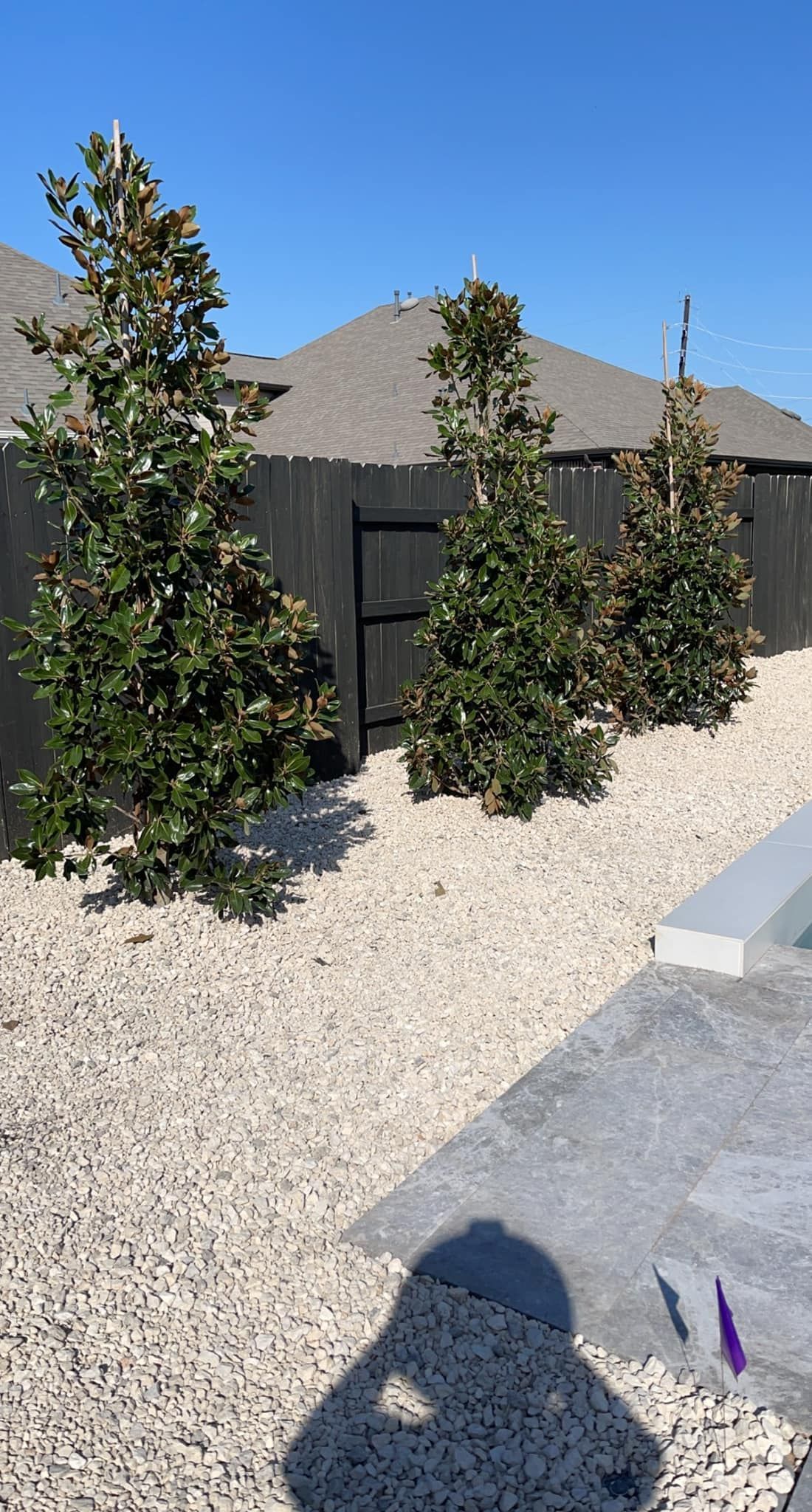 A shadow of a person is cast on a gravel path in front of a fence and trees.