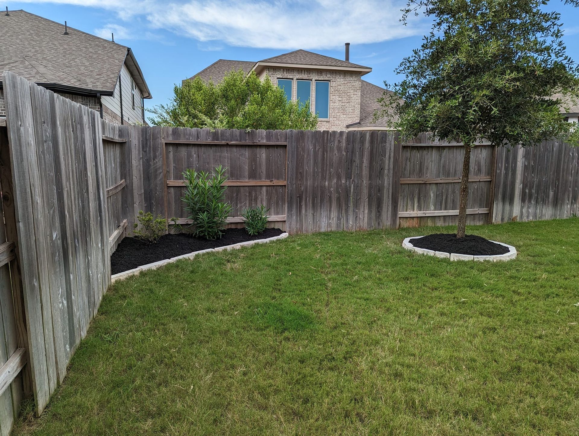A backyard with a wooden fence and a tree in the middle of it.