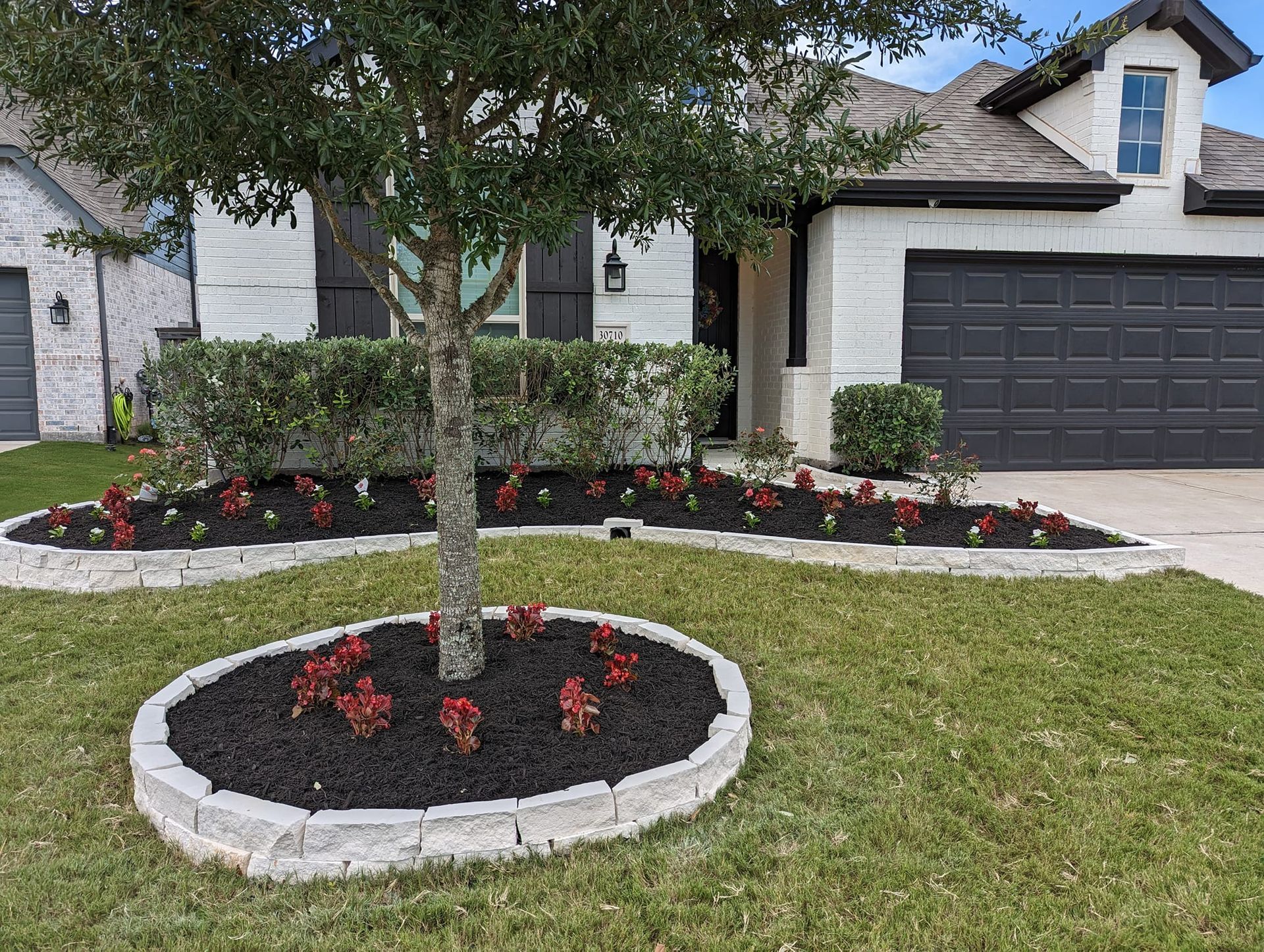 There is a tree in the middle of the lawn in front of a house.