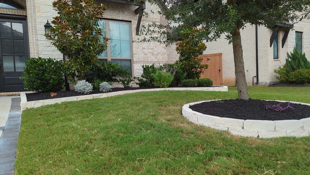 There is a tree in the middle of the lawn in front of a house.