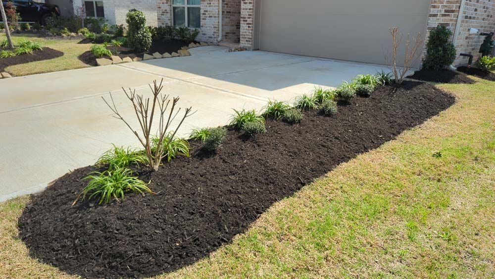 A lawn with a lot of mulch and plants in front of a house.