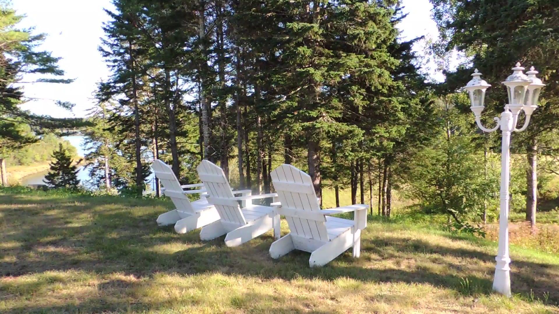 A row of white lawn chairs are sitting in the grass in front of a forest.