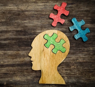 Wooden silhouette of a head with a green puzzle piece inserted, and two floating colored puzzle pieces nearby.