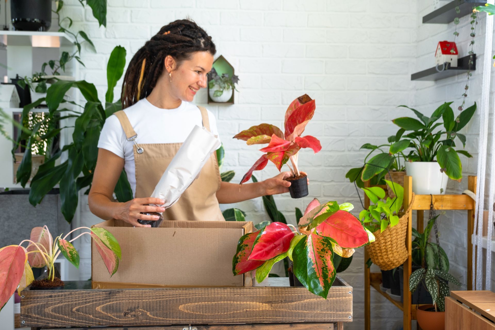 There are many different types of succulents in this picture.