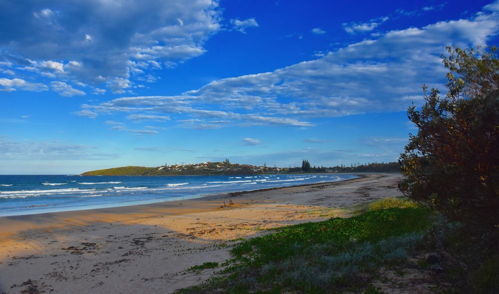 Beach Under a Sky With White Clouds, Ocean Waves, and Foliage Along the Shore — Coffs Coast Roofing In Woolgoolga, NSW