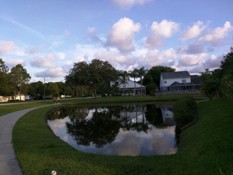 Community Gallery - 08