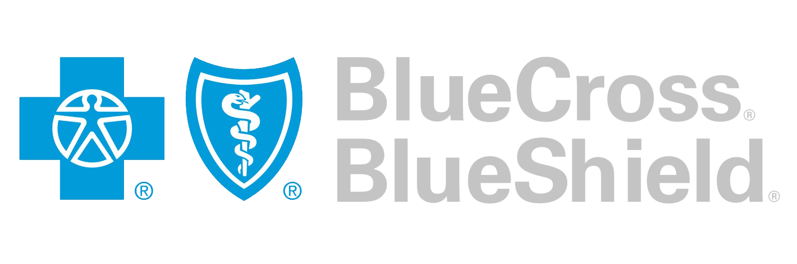 Blue Cross Blue Shield