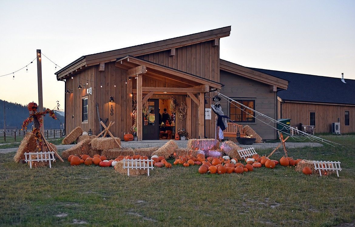 A group of pumpkins are sitting in front of a wooden building.