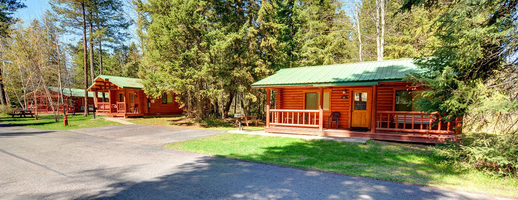 A group of wooden cabins are sitting in the middle of a forest.