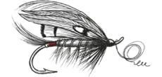 Guided Fishing